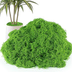 Fake Moss 5.3 oz, Artificial Moss by ASCAKE