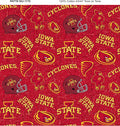 SYKEL ENTERPRISES Iowa State Cotton Fabric by SYKELENTERPRISES