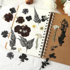 Augshy Black Dried Pressed Flowers, Scrapbooking, Soap Making - Image 3