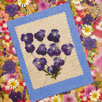25PCS Dried Violet Flower, Natural Pressed Colorful Real Dry Petals Flowers - Image 4