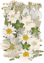 White Dried Pressed Flowers for Crafts, Real Natural Dried Flowers and Leaves by Kaddmedia