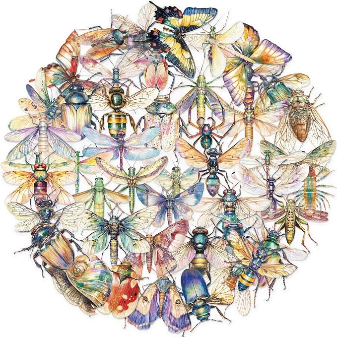 50PCS Transparent Watercolor Insect Stickers, Waterproof PET Decals, Colorful - Image 7