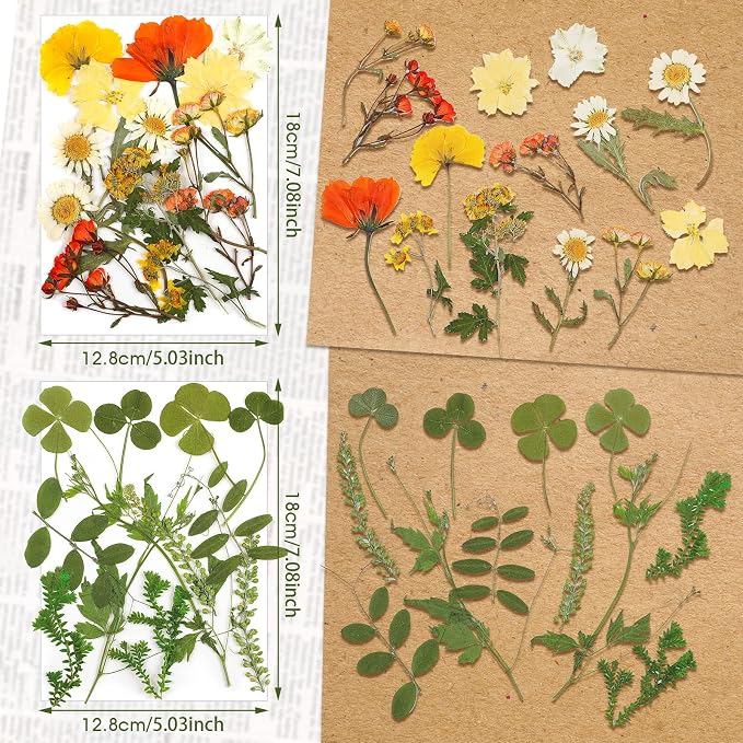 Nuanchu Dried Pressed Flowers for Crafts Resin Real Flat Dried Wildflowers Bulk - Image 4
