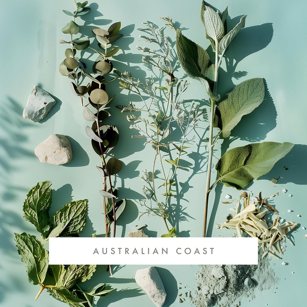 ScentAir Whisper Home Monthly Plug-in Refill, Fragrance Cartridge for Home and Office, Australian Coast