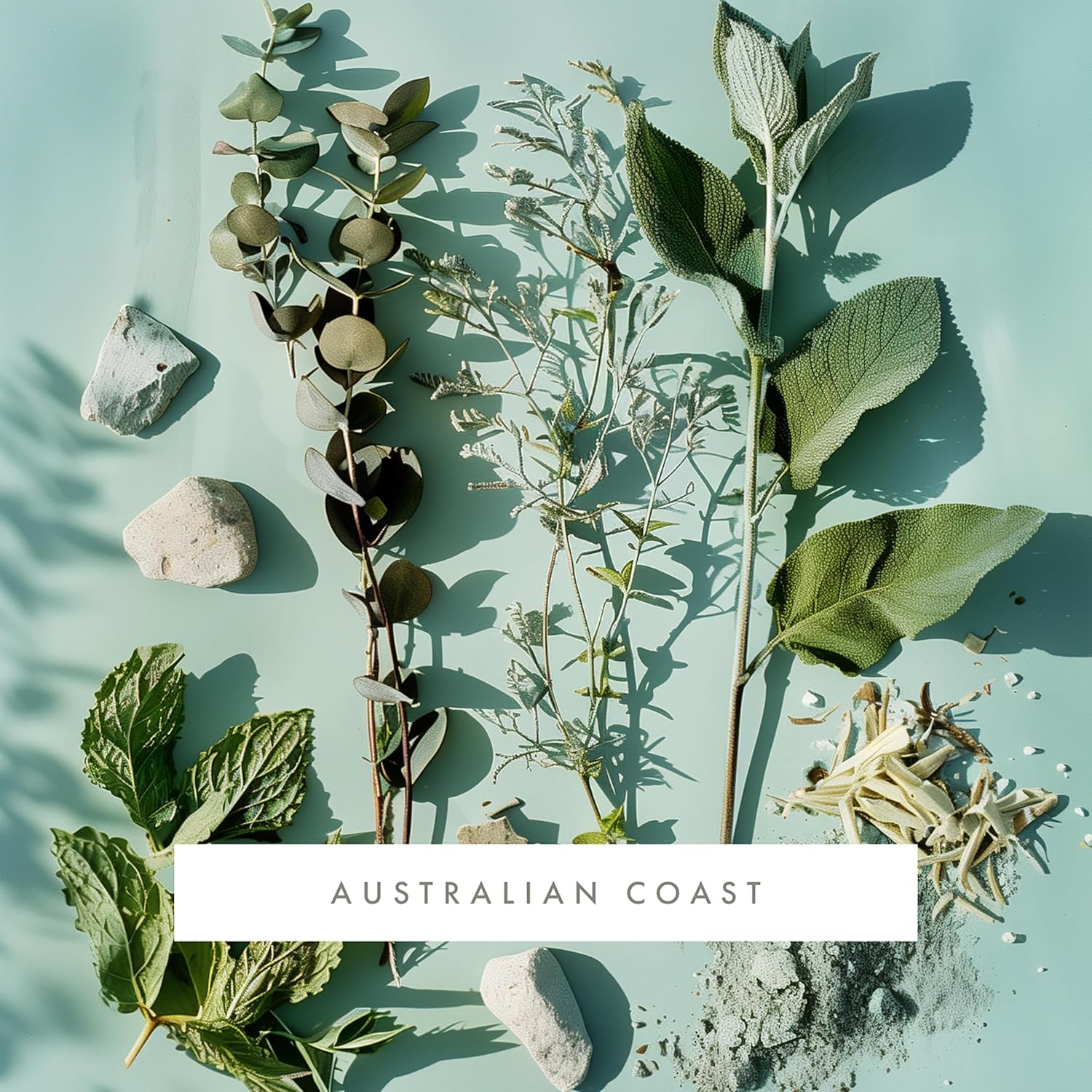 ScentAir Whisper Home Monthly Plug-in Refill, Fragrance Cartridge for Home and Office, Australian Coast