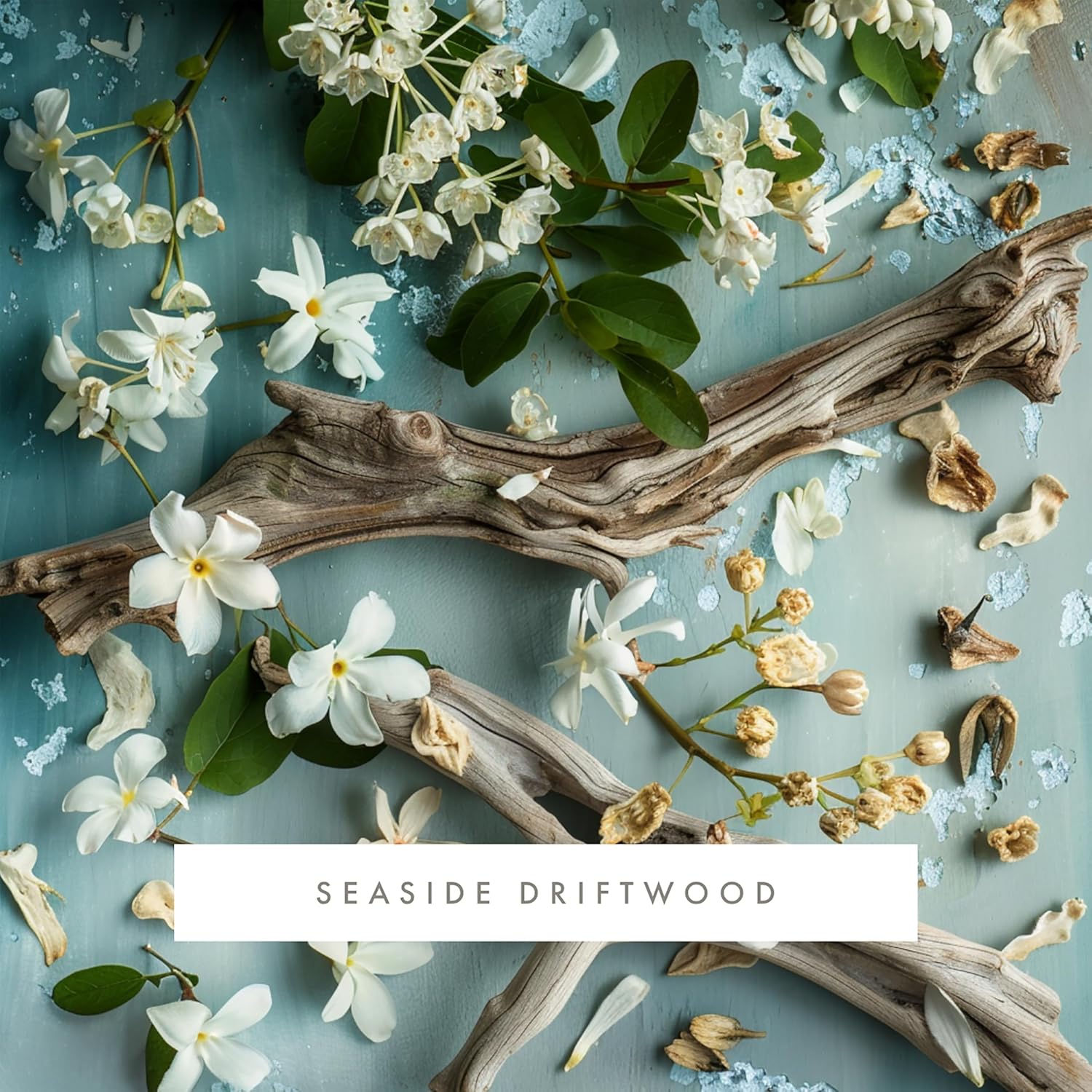 ScentAir Whisper Home Monthly Plug-in Refill, Fragrance Cartridge for Home and Office, Seaside Driftwood