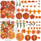150PCS Orange Fall Dried Pressed Flowers - Image 3