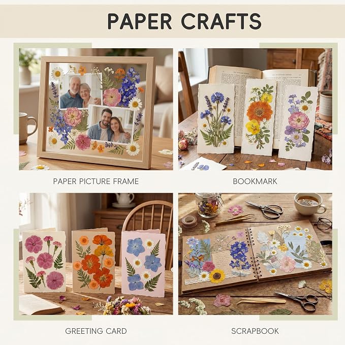 LUXEEASE 4-Color 80P Natural Dried Pressed Flowers | Orange purple pink white - Image 5