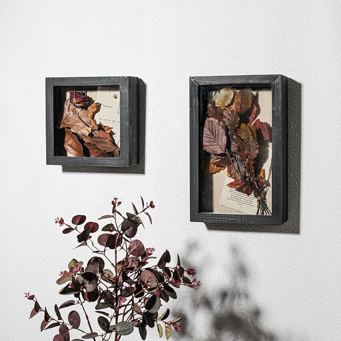 Freezing point Shadow Box Frame 8x12.5 Shadow Box Display Case Cabinet Picture - Image 4