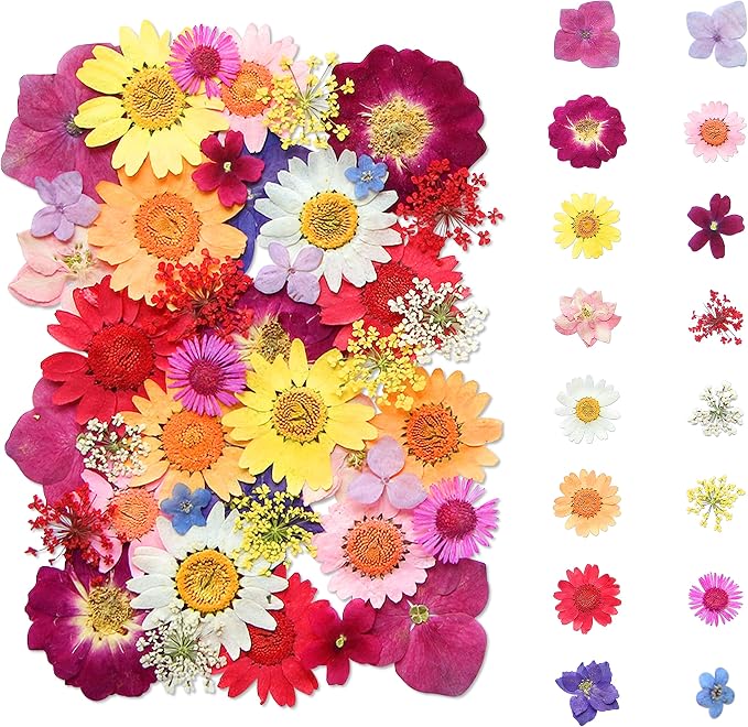 Dried Flowers, Kaluofan 45PCS Real Pressed Flowers, Dried Flowers by Kaluofan