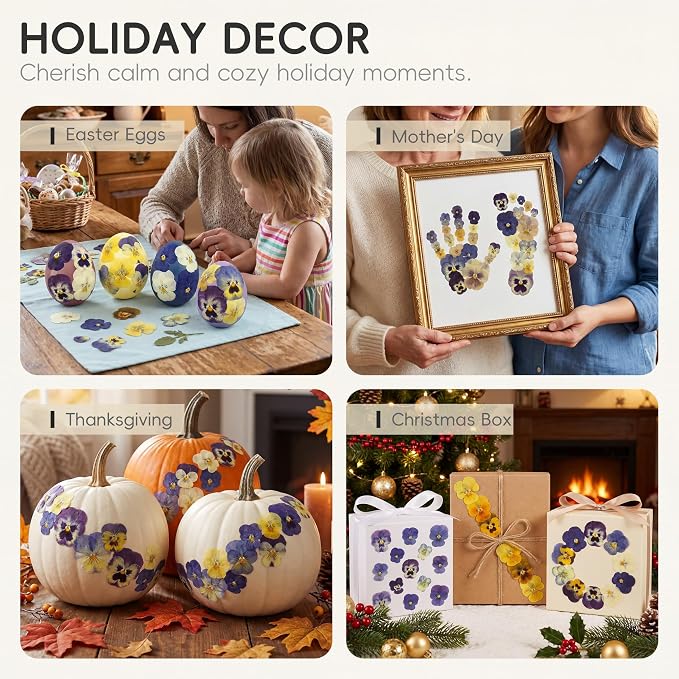 LUXEEASE 8 Color 64P Pansy Dried Pressed Flowers | Iconic face markings - Image 6