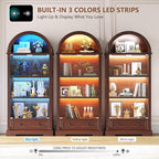 Dystler Curio Cabinet with Glass Doors & LED Lights | 72" Tall, Arched Display - Image 4