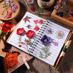 Nuanchu Dried Flower for Crafts Resin Pressed Flowers Bulk Real Dried - Image 2