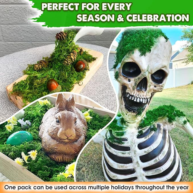 DUSPRO Green Forest Moss for Crafts, Real Dried Decorative Moss, 10 oz | Indoor - Image 5