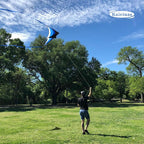 Large Single Line Beach Kite for Adults - Image 4