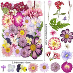 18 Types 37pcs Purple Dried Pressed Flowers - Image 2