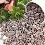 FANTIAN 5 lbs Succulent and Cactus Pebbles - Image 9
