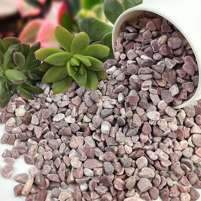 FANTIAN 5 lbs Succulent and Cactus Pebbles - Image 9