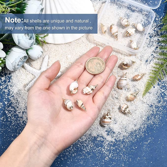 SUNNYCLUE 1 Box 16Pcs 4 Style Ocean Beach Spiral Seashells Craft Charms - Image 3