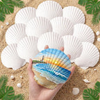 20PCS Large Natural Scallop Shells, DIY Painting, Baking and Beach Wedding by JSPYFITS