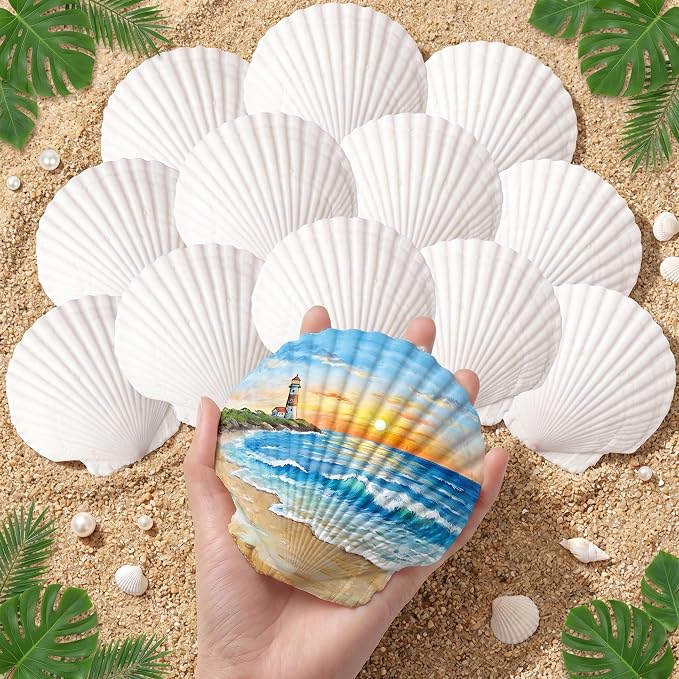 20PCS Large Natural Scallop Shells, DIY Painting, Baking and Beach Wedding by JSPYFITS