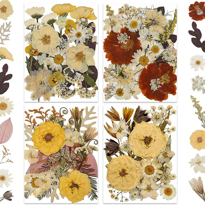 LUXEEASE 100P Vintage Warm Tone Dried Pressed Flowers | Cream caramel yellow by LUXEEASE