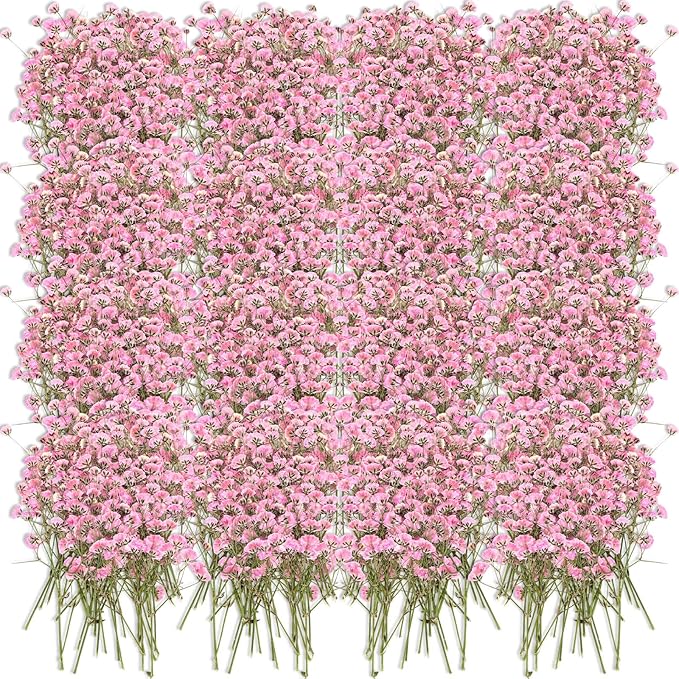 Tinideya 100 Pcs Dried Babys Breath Flowers Bulk Babys Breath Real Pressed by Tinideya