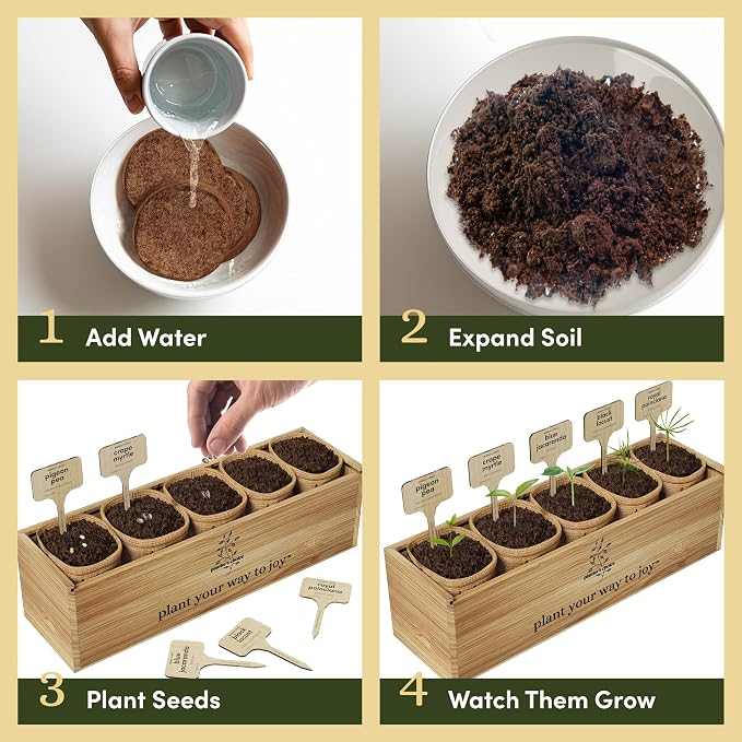 Planter's Choice Bonsai Tree Starter Kit - Image 6