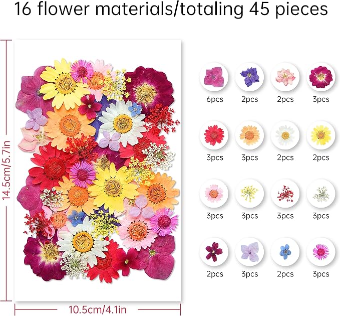 Dried Flowers, Kaluofan 45PCS Real Pressed Flowers, Dried Flowers - Image 2