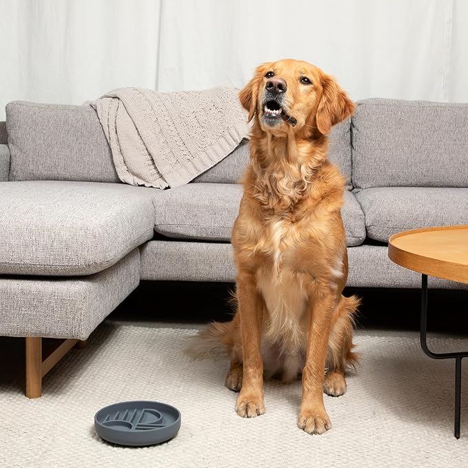 Should We Go? Slow Feeder for Dogs & Puppies, The Slowdown Bowl Silicone Slow Eating, Modern Lick Mat Design, Reduces Gulping, Fits 2 Cups, 7.5” Across x 1.5” Tall, Mealtime Challenge, Medium-Blush