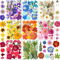 269PCS Dried Pressed Flowers for Resin Craft by YouthBro