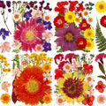 Augshy Pressed Dried Flowers, Soap Making, Scrapbooking, Epoxy Resin Supplies by Augshy