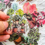 Yoksas Nature Alocasia Green Plants Stickers - Image 3