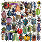 50PCS Cartoon Insects Stickers Aesthetic PET Transparent Insect Decal - Image 7