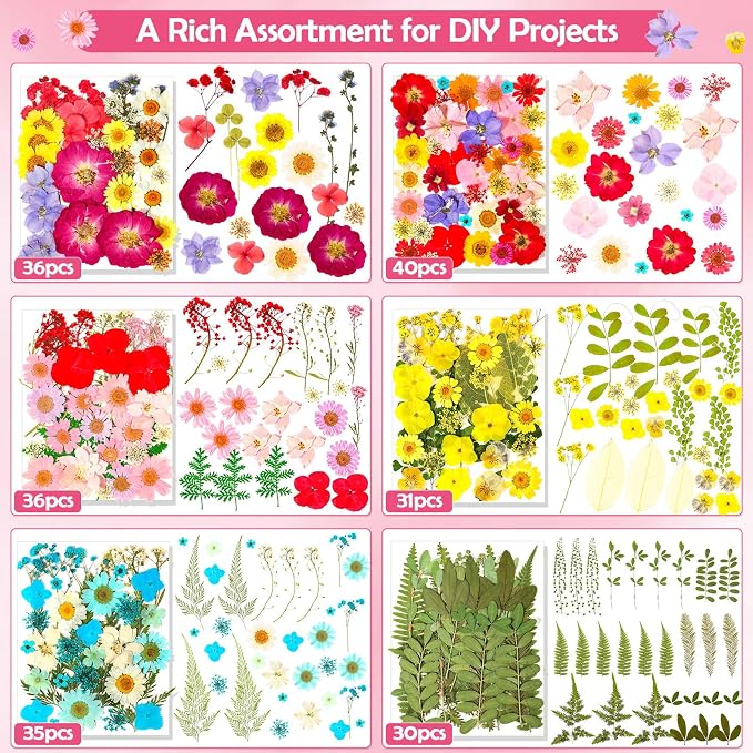 481 PCS Pressed Flowers for Crafts, Real Dried Pressed Flowers Nature Dry - Image 3