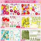 481 PCS Pressed Flowers for Crafts, Real Dried Pressed Flowers Nature Dry - Image 3