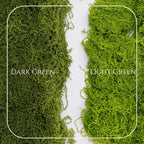 USMOLA 3.5OZ Fake Moss for Plants Indoor - Image 2