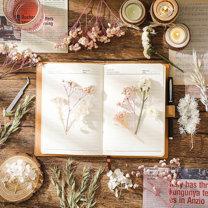Real Dried Flowers, Natural Dry Flowers Mixed Natural Pressed Flowers Flores - Image 3