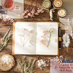 Real Dried Flowers, Natural Dry Flowers Mixed Natural Pressed Flowers Flores - Image 3