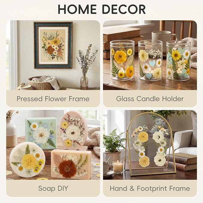 LUXEEASE 100P Vintage Warm Tone Dried Pressed Flowers | Cream caramel yellow - Image 4