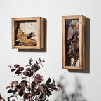 Freezing point Shadow Box Frame 5x12.5 Flower Shadow Box Pin Display Case - Image 7