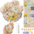 Crtiin 18 Set Oyster Shells Bulk by Crtiin