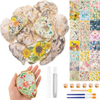 Crtiin 18 Set Oyster Shells Bulk by Crtiin