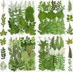 84Pcs Real Natural Dried Pressed Flowers & Green Leaves by Unknown