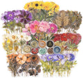 Knaid Pressed Flower Themed Stickers Set Dried Flowers Resin Stickers Decals by Knaid