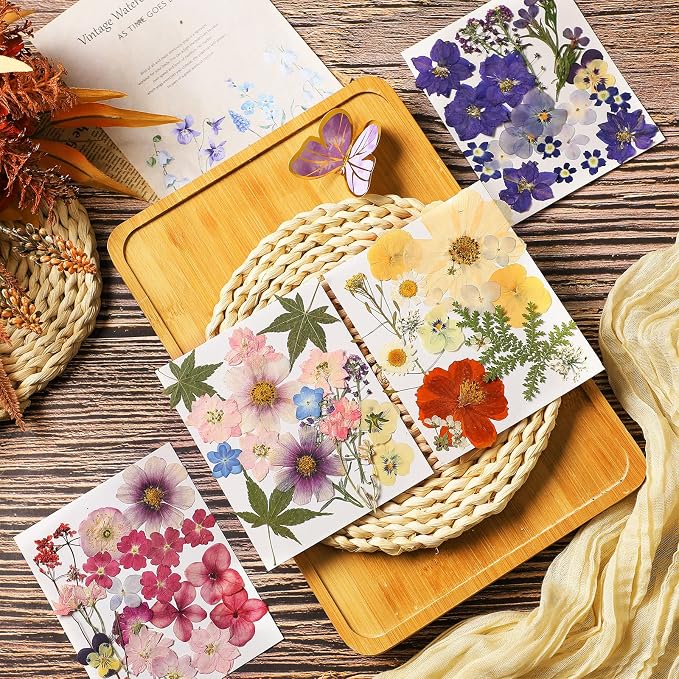 Nuanchu Dried Pressed Flowers for Crafts Resin Real Flat Dried Flowers Leaves - Image 2