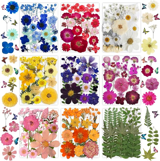 Bulk 410Pcs 11 Packs Mixed Real Natural Dried Pressed Flowers, Leaves & by Unknown