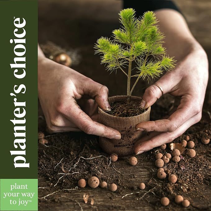 Planter's Choice Bonsai Tree Kit - Image 7
