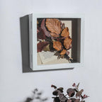 Freezing point Shadow Box Frame 10x10 Shadow Boxes Display Case - Image 3