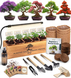 Bonsai Tree Kit Deluxe + Growing Light by Plantingseedsgrowingdreams
